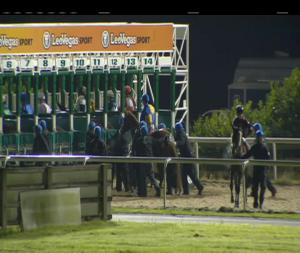 Video preview image for Dundalk 20:30 - www.dundalkstadium.com Maiden 