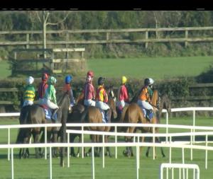 Video preview image for Fairyhouse 14:25 - Fairyhouse Ladies Handicap Chase 