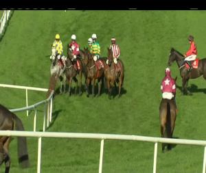 Video preview image for Gowran Park 12:35 - I.N.H. Stallion Owners European Breeders Fund Maiden Hurdle