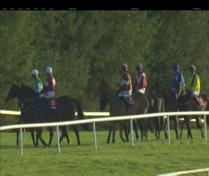 Video preview image for Gowran Park 14:55 - Irish Stallion Farms European Breeders Fund Beginners Chase 