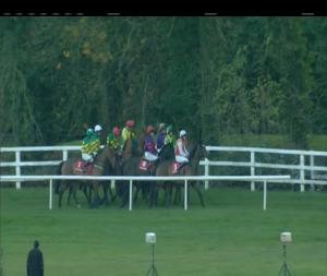 Video preview image for Gowran Park 15:30 - Irish Racing Yearbook Handicap Chase 