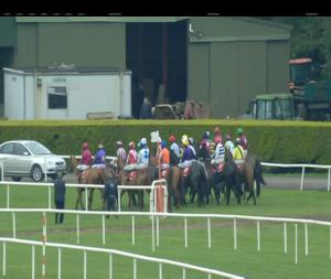 Video preview image for Navan 14:35 - Ladbrokes Troytown Handicap Chase (Grade B)