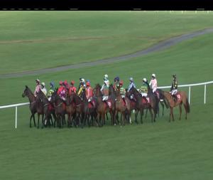 Video preview image for Punchestown 12:20 - Betdaq Trading Tools Maiden Hurdle 