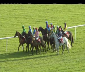 Video preview image for Punchestown 13:20 - Sign Up To Betdaq Today Mares Handicap Hurdle