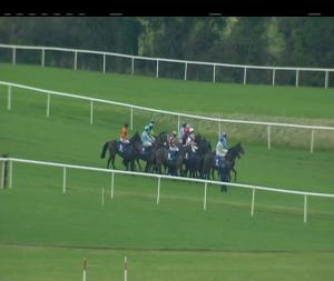 Video preview image for Punchestown 14:50 - Nally Bros Hyundai Supporting Longford Gaa Handicap Hurdle 