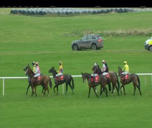 Video preview image for Punchestown 14:55 - Ladbrokes Supporting Irish Stud & Stable Staff Novice Handicap Hurdle