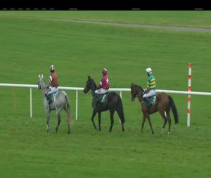 Video preview image for Punchestown 15:25 - Goffs Supporting Irish Stud & Stable Staff (Pro/Am) I.N.H. Flat