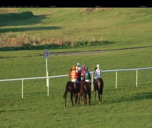 Video preview image for Punchestown 15:30 - betdaq.com I.N.H. Flat 