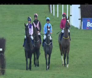 Video preview image for Thurles 13:00 - Boomerang Animal Bedding and Boomerang Horse & Country Store Chase (Listed)