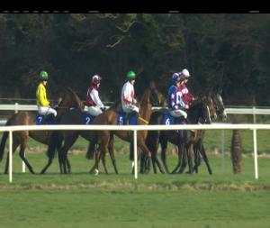 Video preview image for Thurles 13:35 - I.N.H. Stallion Owners European Breeders Fund Rated Novice Hurdle 