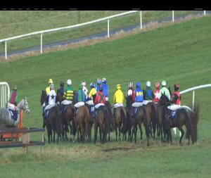 Video preview image for Thurles 14:55 - Templemore Handicap Hurdle