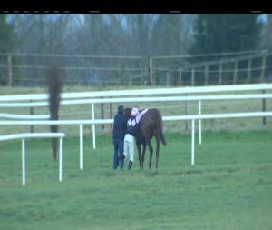 Video preview image for Thurles 15:25 - Thurles Handicap Hurdle