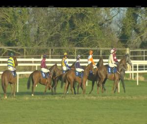 Video preview image for Thurles 15:35 - thurles.ie Maiden Hurdle