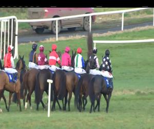 Video preview image for Thurles 15:50 - Holycross I.N.H. Flat