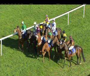 Video preview image for Clonmel 13:05 - Cahir Mares Maiden Hurdle