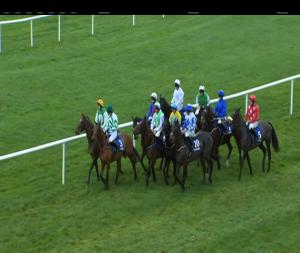Video preview image for Clonmel 13:25 - Clonmel Oil Race Day Handicap Hurdle 