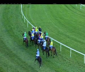Video preview image for Clonmel 15:45 - Powerstown Demesne (Q.R.) Handicap Hurdle
