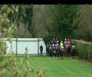 Video preview image for Down Royal 15:05 - mycarneedsa.com Chase (Grade 2)