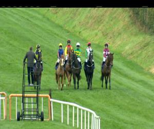Video preview image for Down Royal 15:30 - Toals Bookmakers Handicap Chase 