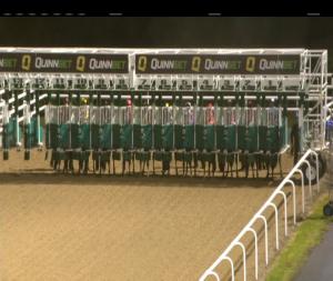Video preview image for Dundalk 17:30 - Irish Stallion Farms European Breeders Fund Maiden