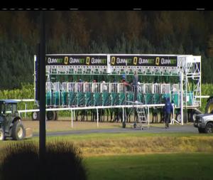 Video preview image for Dundalk 17:30 - Dundalk Stadium Claiming 