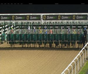 Video preview image for Dundalk 17:30 - www.dundalkstadium.com Handicap 