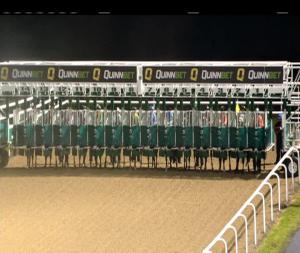 Video preview image for Dundalk 18:00 - Crowne Plaza Hotel Race & Stay Handicap