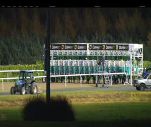 Video preview image for Dundalk 18:00 - Christmas Party Nights At Dundalk Stadium Nursery Handicap 