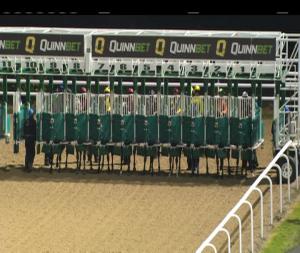 Video preview image for Dundalk 18:00 - Dundalk Stadium - Light Up Your Night Handicap