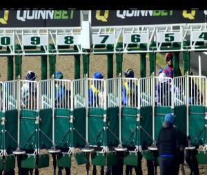 Video preview image for Dundalk 18:00 - irishinjuredjockeys.com Claiming