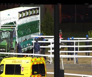 Video preview image for Dundalk 19:30 - Christmas Party Nights At Dundalk Stadium Handicap (Div 1)