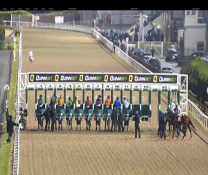 Video preview image for Dundalk 19:30 - www.dundalkstadium.com Maiden 