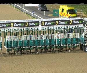 Video preview image for Dundalk 20:30 - Light Up Your Night Handicap (Div 1)