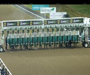 Video preview image for Dundalk 21:00 - irishinjuredjockeys.com Handicap (Div 2)