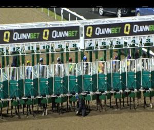 Video preview image for Dundalk 21:00 - Crowne Plaza Race & Stay Handicap 