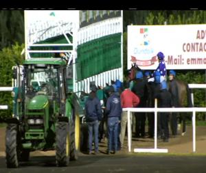 Video preview image for Dundalk 21:00 - Christmas Party Nights At Dundalk Stadium Handicap (Div 2)