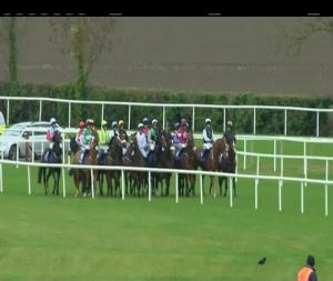 Video preview image for Fairyhouse 12:20 - Winter Festival 1st & 2nd December 3-y-o Maiden Hurdle