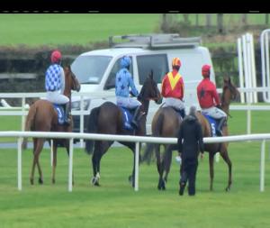 Video preview image for Fairyhouse 13:25 - www.fairyhouse.ie Hurdle 