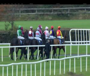 Video preview image for Fairyhouse 14:00 - Fairyhouse Racecourse Ladies Handicap Chase 