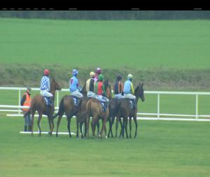 Video preview image for Fairyhouse 14:30 - I.N.H. Stallion Owners European Breeders Fund Novice Hurdle 