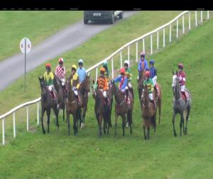 Video preview image for Gowran Park 13:10 - Ladbrokes Novice Hurdle 