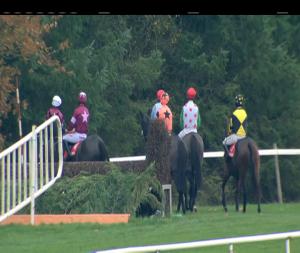 Video preview image for Gowran Park 14:20 - Talbot Hotel Carlow Chase