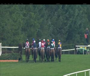 Video preview image for Gowran Park 14:55 - Irish Stallion Farms European Breeders Fund Beginners Chase 