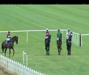 Video preview image for Naas 12:30 - Poplar Square Chase (Grade 3)