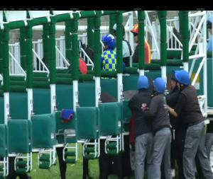 Video preview image for Naas 15:35 - Jf Dunne Insurances Maiden 