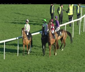 Video preview image for Punchestown 14:15 - Unibet Morgiana Hurdle (Grade 1)