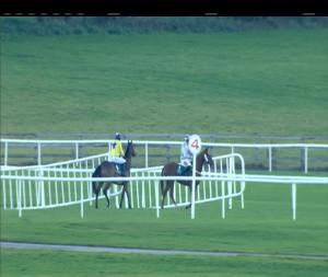 Video preview image for Punchestown 15:25 - Goffs (Pro/Am) I.N.H. Flat