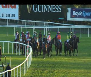Video preview image for Punchestown 15:55 - Up The Yard Challenge Race