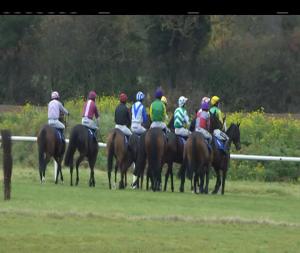Video preview image for Thurles 12:45 - Thurles Beginners Chase 