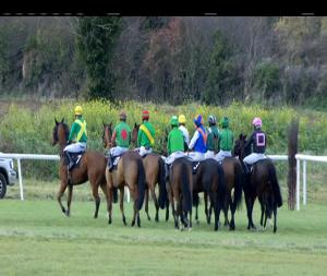 Video preview image for Thurles 13:20 - Thurles Handicap Chase 